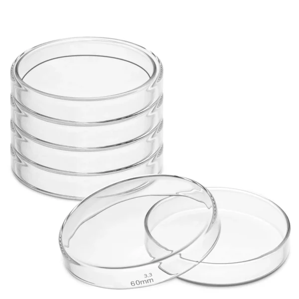 100 MM Transparent Glass Petri Dish With Lid